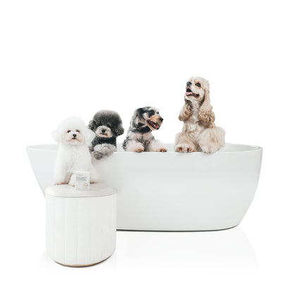 Pet Buddy Bath Set